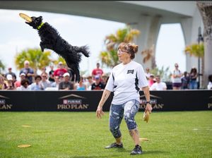 Image post by @purina on Instagram