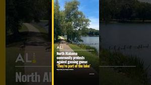 Video post by @aldotcom on YouTube