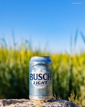 Image post by @anheuserbusch on Instagram