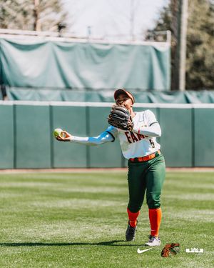 Image post by @famu_softball on Instagram