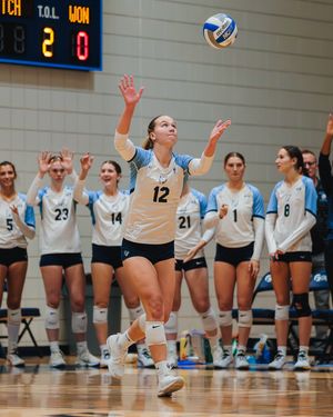 Image post by @nutimberwolves on Instagram