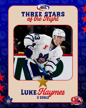 Image post by @theahl on Instagram