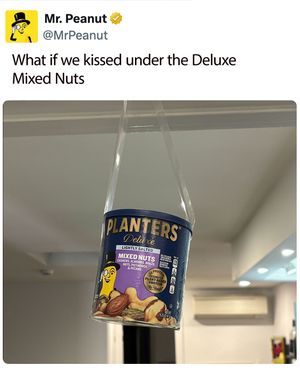 Image post by @mrpeanutofficial on Instagram