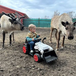 Image post by @bobcatcompany on Instagram