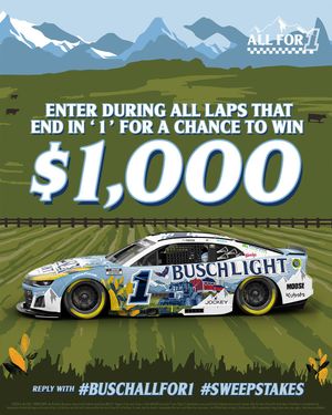 Image post by @BuschBeer on Twitter