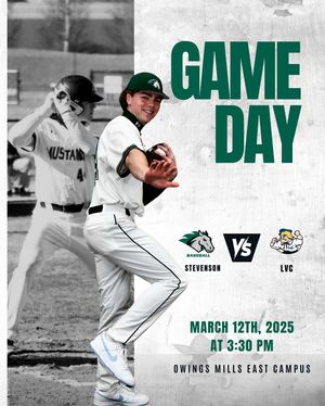 Image post by @stevensonbsb on Instagram
