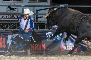 Image post by @ultimatebullfighters on Instagram