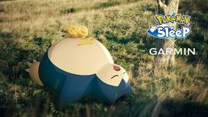 Video post by @pokemonkoreainc on YouTube