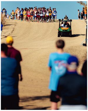 Image post by @haydenxluther on Instagram