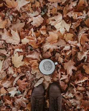 Image post by @kate.simple.life on Instagram
