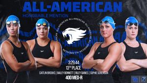 Image post by @UKSwimDive on Twitter