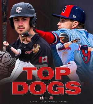 Image post by @CCBaseballConf on Twitter