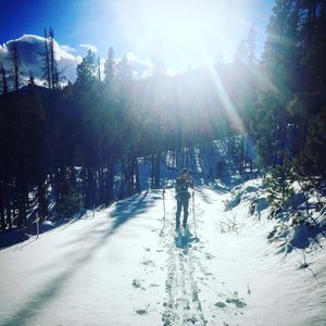 Image post by @drsquatch on Instagram