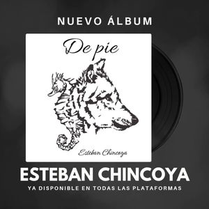 Image post by @estebanchincoyaoficial on Instagram