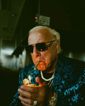 Image post by @ricflairnatureboy on Instagram