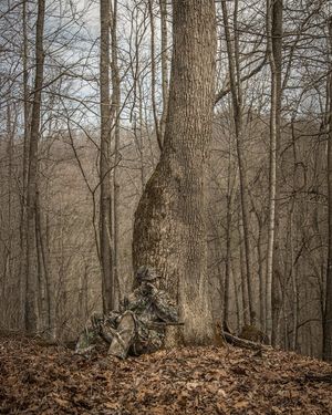 Image post by @realtreeoutdoors on Instagram