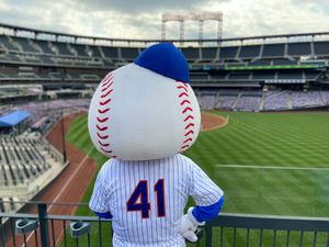 Image post by @MrMet on Twitter