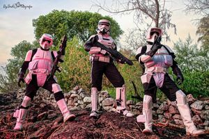 Image post by @official501st on Instagram