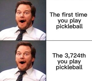 Image post by @thepickleballclinic on Instagram