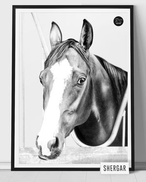 Image post by @worldhorseracing on Instagram