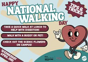 Image post by @fsucampusrec on Facebook