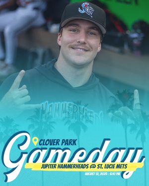 Image post by @gohammerheads on Instagram