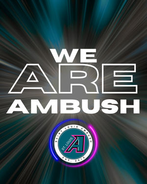 Image post by @stlouisambush on Instagram