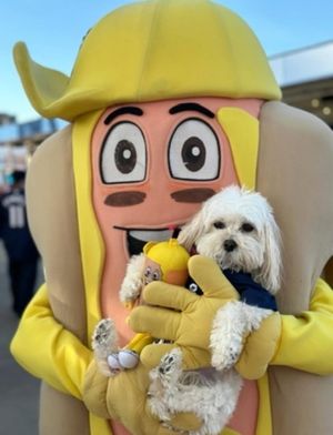 Image post by @clehotdogs on Instagram