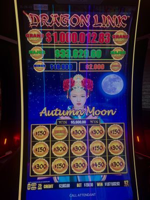Image post by @hardrocktampa on Instagram