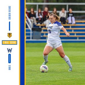 Image post by @wne_goldenbears on Instagram
