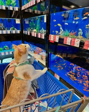 Image post by @petsmart on Instagram