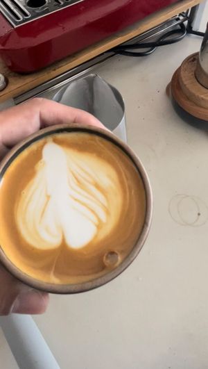 Video post by @mishaperiphery on Instagram