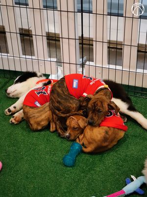 Image post by @washwizards on Instagram