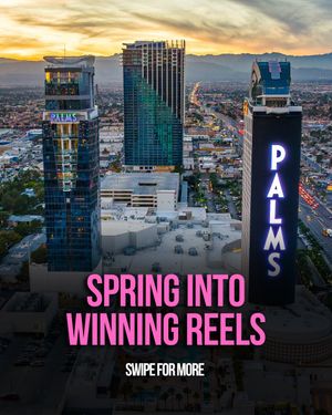 Image post by @palms on Instagram