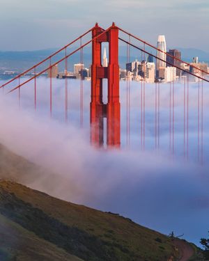 Video post by @onlyinsf on TikTok