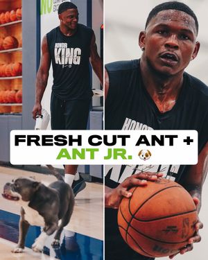 Video post by @nbaonprime on TikTok