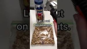 Video post by @planters on YouTube