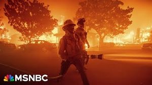 Video post by @msnbc on YouTube