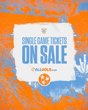 Image post by @ladyvol_hoops on Instagram