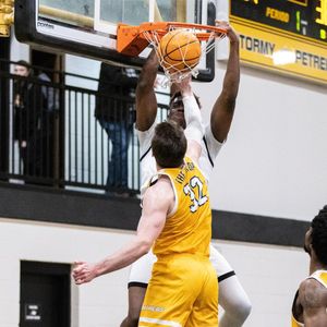 Image post by @gopetrelsmbb on Instagram