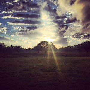 Image post by @jfinch27 on Instagram