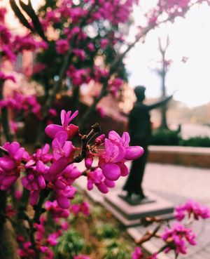 Image post by @ncstate on Instagram