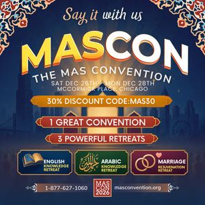 Image post by @masicna on Instagram
