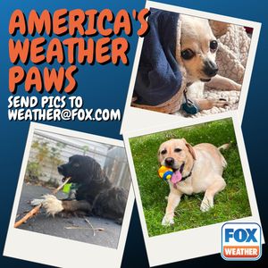 Image post by @foxweather on Instagram