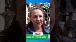 Video post by @civiccentertv on YouTube