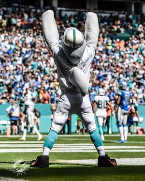 Image post by @miamidolphins on Instagram