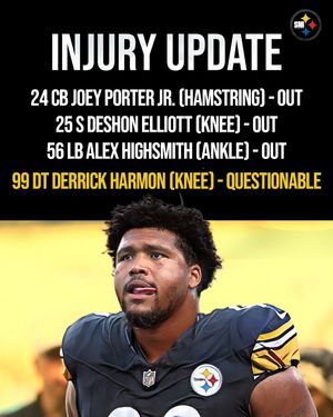 Image post by @steeler.nation.inc on Instagram