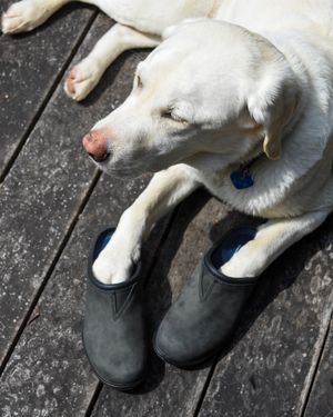 Image post by @blundstoneusa on Instagram