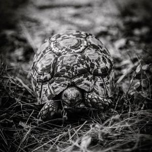 Image post by @robertirwinphotography on Instagram