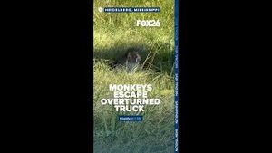 Video post by @kmphfox26 on YouTube